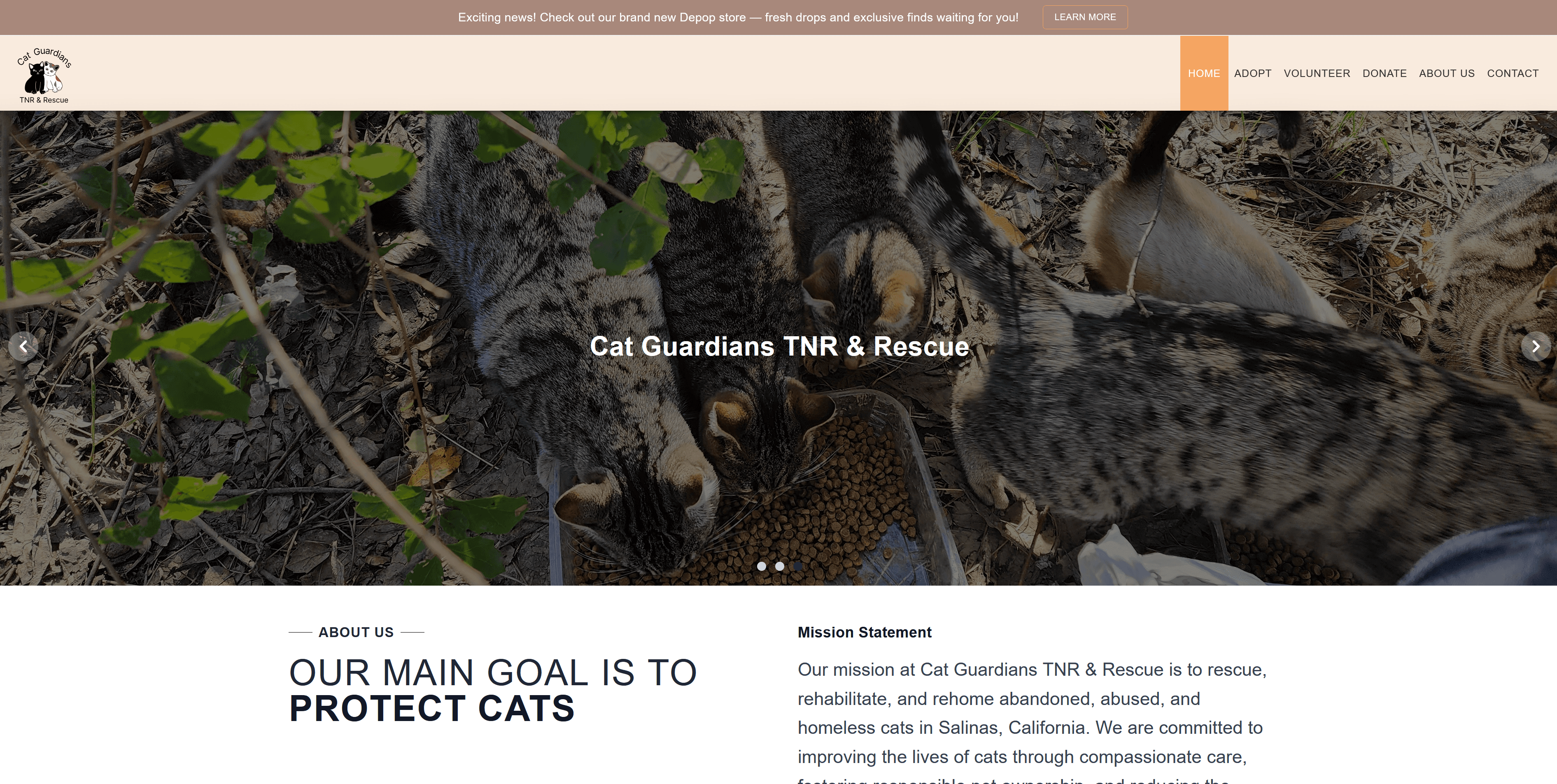 Cat Guardians TNR & Rescue